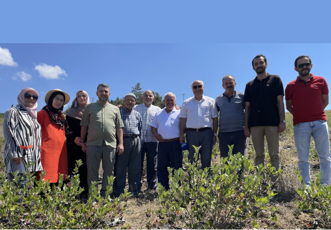 Eflani'de Aronya Yetiştiriciliği 07.08.2026